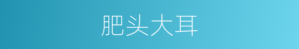 肥头大耳的意思