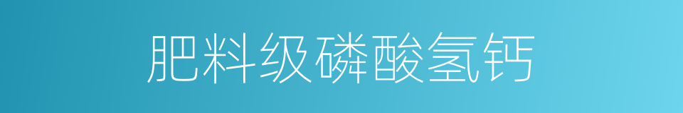 肥料级磷酸氢钙的同义词