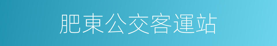 肥東公交客運站的同義詞