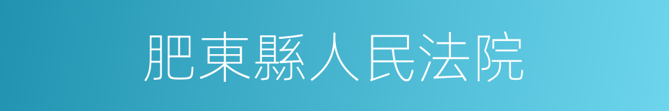 肥東縣人民法院的同義詞