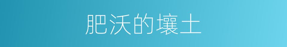 肥沃的壤土的同义词