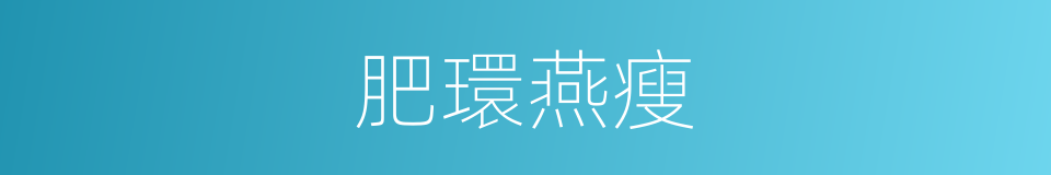 肥環燕瘦的意思