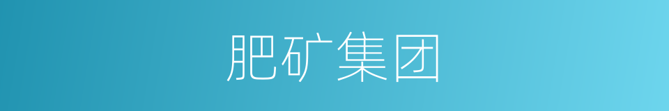 肥矿集团的同义词