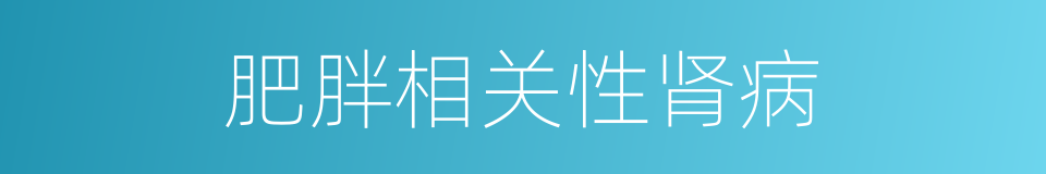 肥胖相关性肾病的同义词