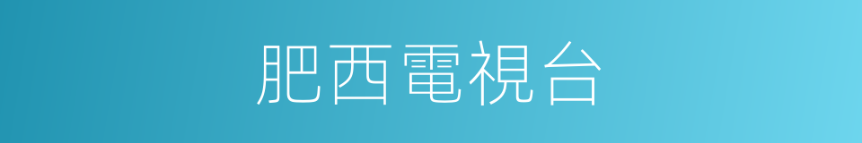 肥西電視台的同義詞