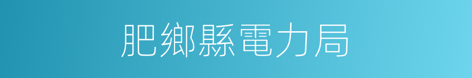 肥鄉縣電力局的同義詞