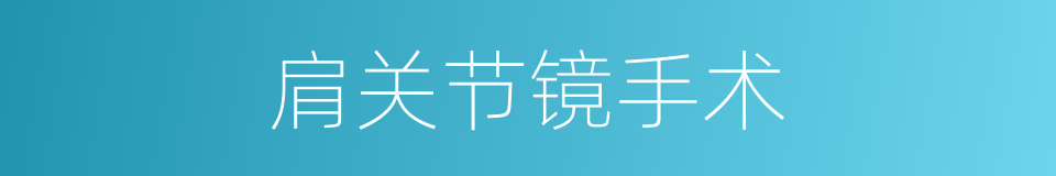 肩关节镜手术的同义词