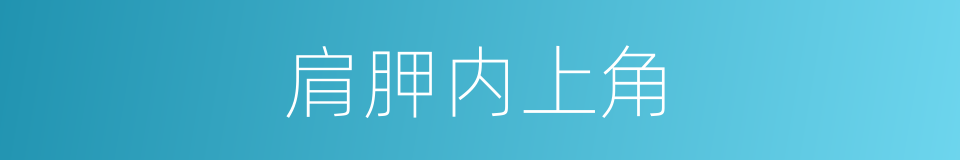 肩胛内上角的同义词
