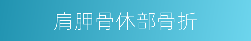 肩胛骨体部骨折的同义词
