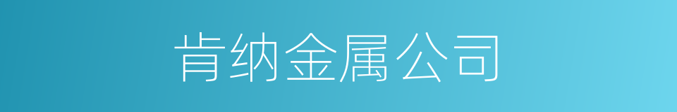 肯纳金属公司的同义词