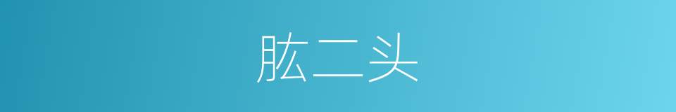 肱二头的同义词