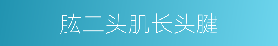 肱二头肌长头腱的同义词