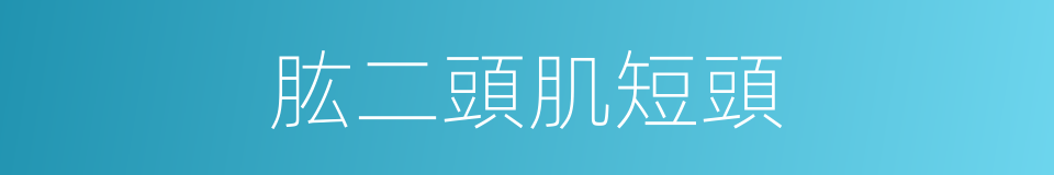 肱二頭肌短頭的同義詞