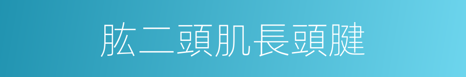 肱二頭肌長頭腱的同義詞