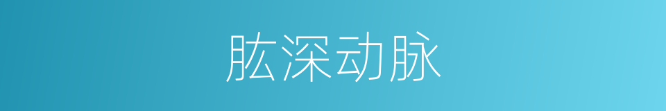 肱深动脉的同义词