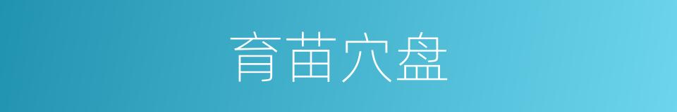 育苗穴盘的同义词