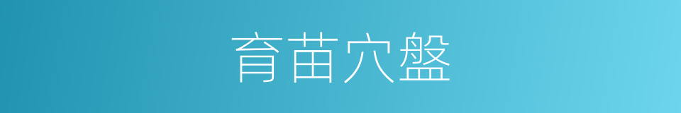 育苗穴盤的同義詞