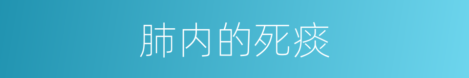 肺内的死痰的同义词