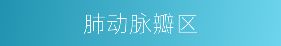 肺动脉瓣区的同义词