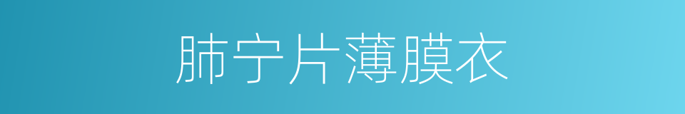 肺宁片薄膜衣的同义词