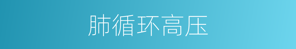 肺循环高压的同义词