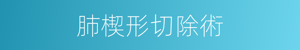 肺楔形切除術的同義詞
