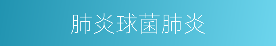 肺炎球菌肺炎的同义词