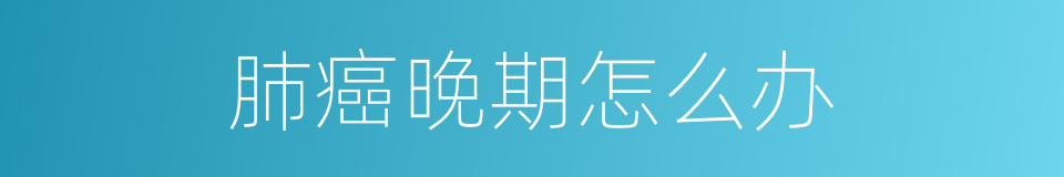 肺癌晚期怎么办的同义词