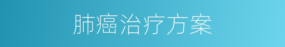肺癌治疗方案的同义词