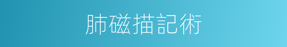 肺磁描記術的同義詞