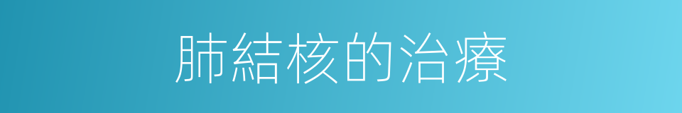 肺結核的治療的同義詞