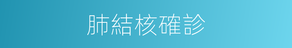 肺結核確診的同義詞