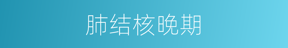 肺结核晚期的同义词