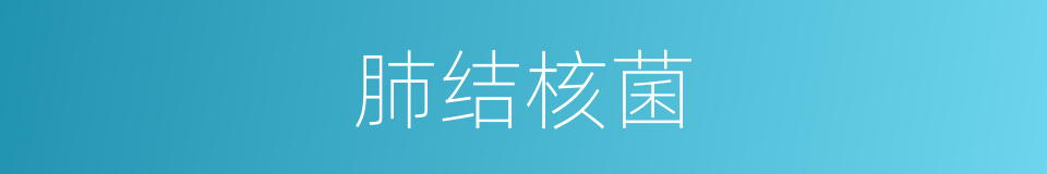 肺结核菌的同义词