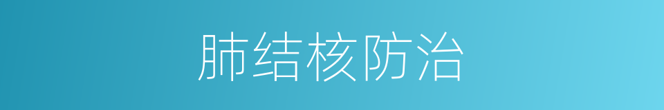肺结核防治的同义词