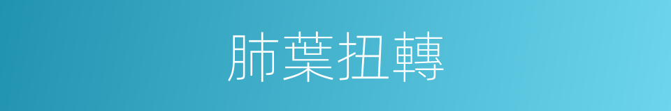 肺葉扭轉的同義詞