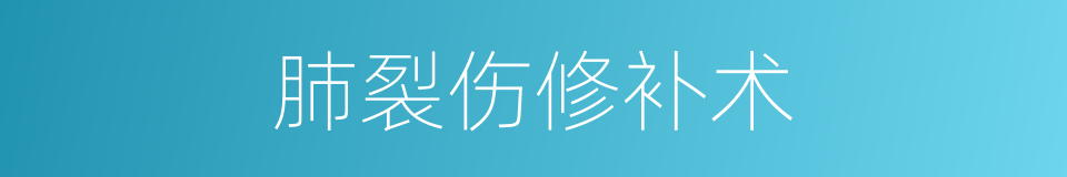 肺裂伤修补术的同义词
