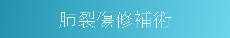 肺裂傷修補術的同義詞