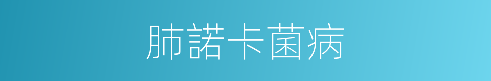 肺諾卡菌病的同義詞