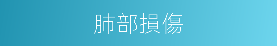 肺部損傷的同義詞