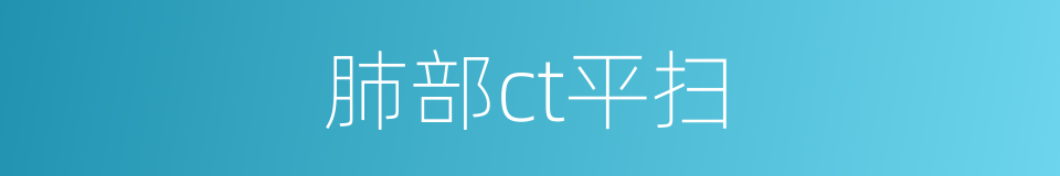 肺部ct平扫的同义词