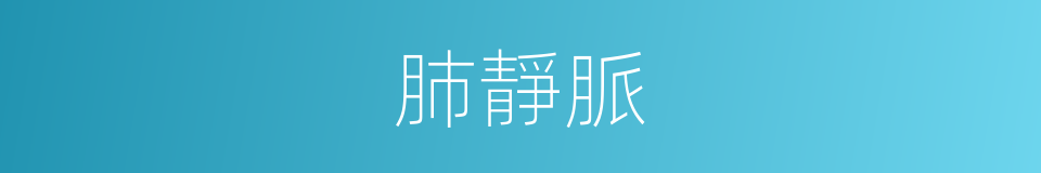 肺靜脈的意思
