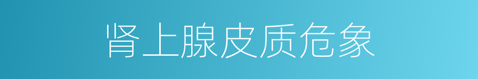 肾上腺皮质危象的同义词