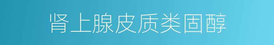 肾上腺皮质类固醇的同义词