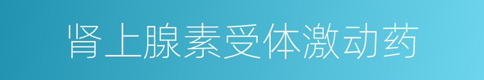 肾上腺素受体激动药的同义词