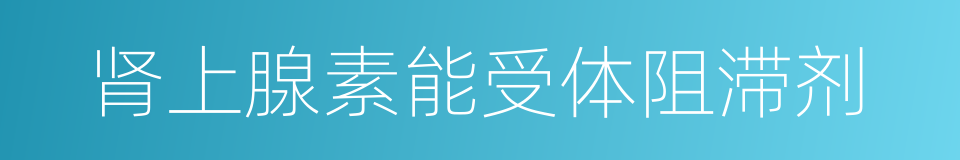 肾上腺素能受体阻滞剂的同义词