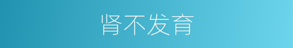 肾不发育的同义词