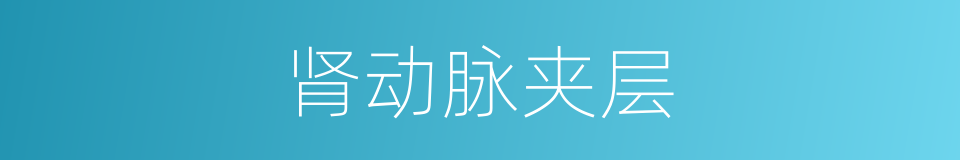 肾动脉夹层的同义词