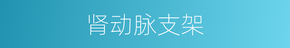 肾动脉支架的同义词