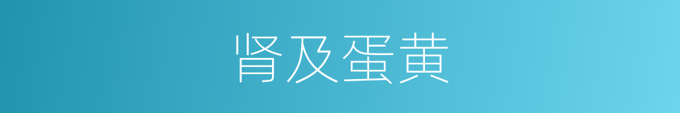 肾及蛋黄的同义词